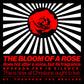 The Bloom of a Rose No. 1 | Orthodox Christian Hoodie / Hooded Sweatshirt